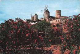 Delcampe - ESPAGNE PALMA DE MALLORCA MOLINS DEL JONQUET - Sonstige & Ohne Zuordnung