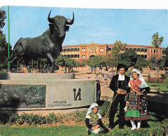 Delcampe - ESPAGNE SALAMANQUE MONUMENT AU TAUREAU DE LIDIA - Sonstige & Ohne Zuordnung