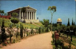 Delcampe - CPA Haifa Israel, Carmel National Park - Israel