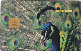 Delcampe - CZECHIA - Peacock, 08/98, Used - Tschechische Rep.