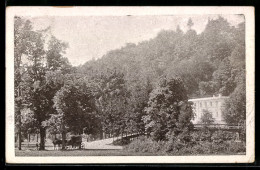 Delcampe - AK Lazne Teplice N. B., Lazensky Park - Repubblica Ceca