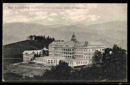 Delcampe - AK Bad Gräfenberg, Priessnitz-Sanatorium Und Wiener Kaffee Mit Koppenhaus - Repubblica Ceca
