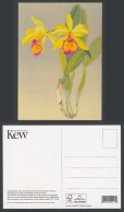 Delcampe - Laeliocattleya Nr.No.106 Oyamazaki Orchid Flowers Artist Zuigetsu Ikeda Postcard - Blumen
