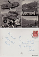 Delcampe - # PRIMALUNA: SALUTI DA    1956 - Como