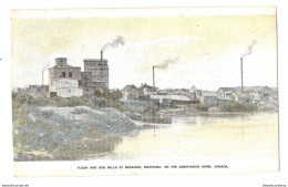 Delcampe - Canada Manitoba FLOUR & SAW MILLS Advert Advertisent Publicity For Free 160 Acre Farms Scheme REF 27 - Brandon