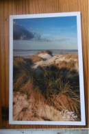 Delcampe - Paysage Lunaire En Baie De Somme - Sonstige