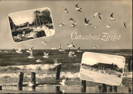 Delcampe - Zingst Ostseebad Zingst - Zingst
