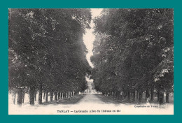 Delcampe - 89 Tanlay La Grande Allée Du Château En été - Tanlay