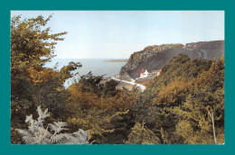 Delcampe - 50 Cherbourg Fermanville Route Touristique Entre Bretteville Et Maupertus - Cherbourg
