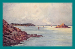 Delcampe - 29 Douarnenez Ile Tristan Editions Les Sites De France Eug Bourgeois - Douarnenez