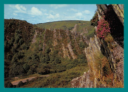 Delcampe - 22 Gouarec La Vallée Du Daoulas ( écrite Le 29 Juillet 1972 ) - Gouarec
