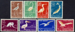 Delcampe - 1957 Pelican,Eagle,Egret,Ermine,Sturgeon,Spoonbill,Danube Delta Fauna,Romania,Mi.1686,MNH - Nuovi