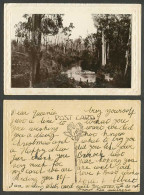 Delcampe - Australia Old Embossed Postcard An Australian Bush Stream River Scene Real Photo - Autres & Non Classés