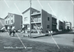 Delcampe - Bc441 Cartolina Viserbella Pensioni Al Mare Provincia Di Forli' - Forlì