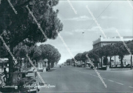 Delcampe - Bc460 Cartolina Cesenatico Viale Gastone Sozzi Provincia Di Forli' - Forlì