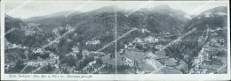Delcampe - Bc535 Cartolina Badia Prataglia Panorama Generale Doppia Arezzo - Forlì