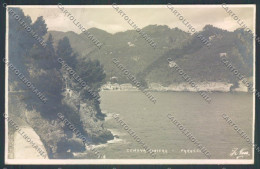 Delcampe - Genova Santa Margherita Ligure Paraggi J. Neer NPG Foto Cartolina ZQ9445 - Genova (Genua)