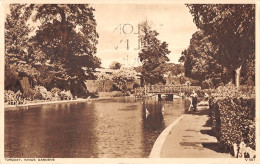 Delcampe - Uk25716 Kings Gardens Torquay  Real Photo Uk - Sonstige & Ohne Zuordnung