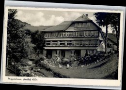Delcampe - Muggenbrunn Gasthof Adler - Todtnau