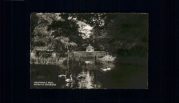 Delcampe - Fuerstenau Hoexter Uecke Schloss Teich Schwan * - Höxter