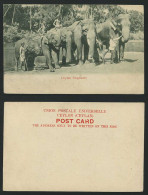 Delcampe - Ceylon Old UB Postcard ELEPHANTS Baby Elephant Cub, Boy - Sri Lanka (Ceylon)
