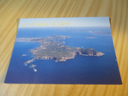 Delcampe - Hyères-les-Palmiers (83).Vue Aérienne De La Presqu'île De Giens. - Hyeres