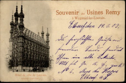 Delcampe - Louvain Flandre Louvain Hotel De Ville - Leuven