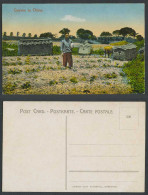 Delcampe - China Old Postcard Shanghai Chinese Christian Graves With Cross, Chinaman Animal - China