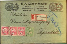 Delcampe - ROMANIA  -   BISZTERCZO - BISTRITZ To Ujvidek -  Recom. Letter - 1909 - Storia Postale