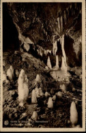 Delcampe - Dinant Wallonie Dinant Grotte La Merveilleuse - Dinant