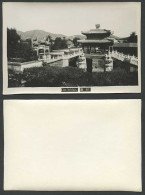 Delcampe - China Old Real Photo Card Bridge, Summer Palace Peking, Lion Statues Gate Pailow - China