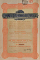 Delcampe - Compagnie Internationale De Pétroles - Part Sociale - Série A - Bruxelles - 1925 - Aardolie