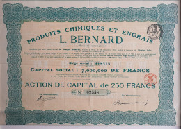Delcampe - Produits Chimiques Et Engrais - L.Bernard - Mesvin - 1920 - Landbouw