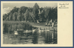 Delcampe - Prenzlau An Der Seepromenade, Ungebraucht (AK1811) - Prenzlau