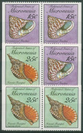 Delcampe - Mikronesien 1989 Meeresschnecken Und Muscheln 144 + 146 Dl/Dr Postfrisch - Mikronesien