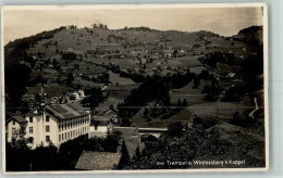 Delcampe - 9642 Wintersberg Ebnat-Kappel - Trempel - 13159259 - Ebnat-Kappel