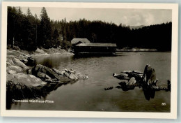 Delcampe - 7018 Flims Waldhaus - Caumasee - 39488535 - Flims