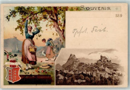 Delcampe - 1950 Sion Sitten 1900 Lithographie Werbung Suchard Valais Wappen - 13470363 - Sion