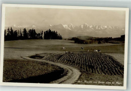Delcampe - 3000 Bern Berne 1931 Foto AK Blick Gegen Die Alpen - 38023176 - Bern