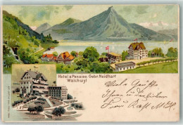 Delcampe - 6318 Walchwil 1899 Lithographie Hotel Pension Gebr. Neidhart - 13615995 - Walchwil
