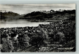 Delcampe - 8820 Wädenswil 1949 - Und Die Alpen - 10257128 - Wädenswil