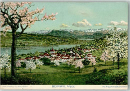 Delcampe - 5712 Beinwil Am See 1909 Künstlerkarte Sign. Buchstätter, Hans - 10735270 - Beinwil Am See