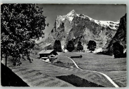 Delcampe - 3818 Grindelwald Foto AK Pension Chalet Grindelwaldsübli - 38193286 - Grindelwald