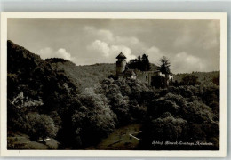 Delcampe - 4144 Arlesheim Foto AK Schloss Briseck-Ermitage - 38224816 - Arlesheim