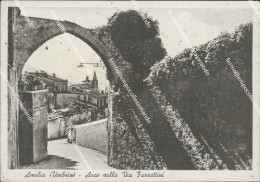 Delcampe - Ae652 Cartolina Amelia Arco Sulla Via Farrattini  Provincia Di Terni - Terni