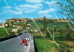Delcampe - Ae663 Cartolina Orvieto Provincia Di Terni - Terni