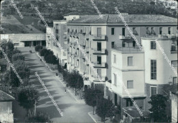 Delcampe - Ae677 Cartolina Terni Citta' Viale Della Stazione - Terni