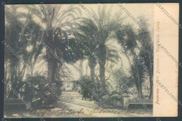 Delcampe - Palermo Città Orto Botanico SCOLLATA Cartolina ZT7597 - Palermo