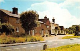 Delcampe - Lot237 Uk Shamley Green - Surrey