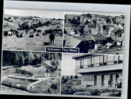 Delcampe - Schnett - Masserberg